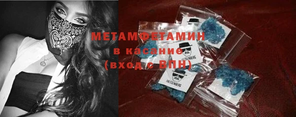 индика Арсеньев