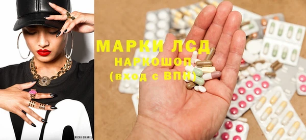 индика Арсеньев