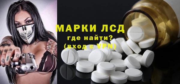 индика Арсеньев