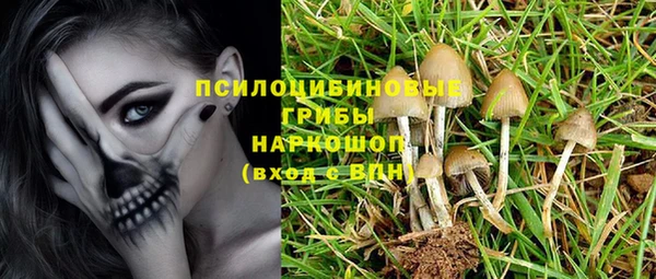 индика Арсеньев