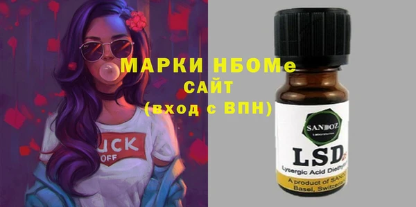 индика Арсеньев