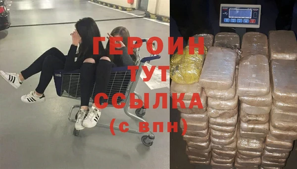 индика Арсеньев