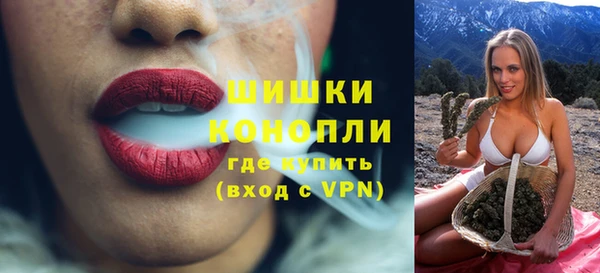 индика Арсеньев
